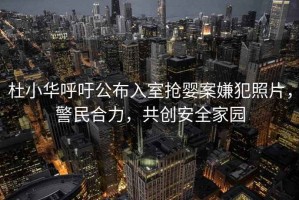 杜小華呼吁公布入室搶嬰案嫌犯照片，警民合力，共創(chuàng  )安全家園
