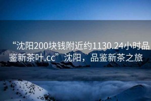 “沈陽(yáng)200塊錢(qián)附近約1130.24小時(shí)品鑒新茶葉.cc”沈陽(yáng)，品鑒新茶之旅
