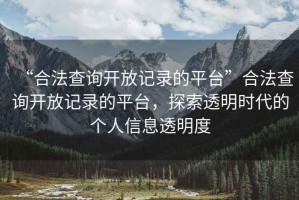 “合法查詢(xún)開(kāi)放記錄的平臺”合法查詢(xún)開(kāi)放記錄的平臺，探索透明時(shí)代的個(gè)人信息透明度