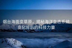煙臺海面變草原，揭秘海洋生態(tài)系統變化背后的科技力量
