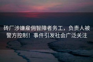 磚廠(chǎng)涉嫌雇傭智障者務(wù)工，負責人被警方控制！事件引發(fā)社會(huì )廣泛關(guān)注