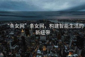 “條女網(wǎng)”條女網(wǎng)，構建智能生活的新紐帶