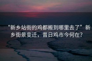 “新鄉站街的雞都搬到哪里去了”新鄉街景變遷，昔日雞市今何在？