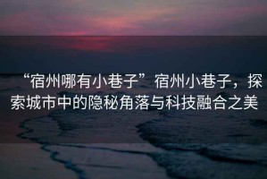 “宿州哪有小巷子”宿州小巷子，探索城市中的隱秘角落與科技融合之美