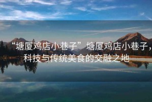 “塘廈雞店小巷子”塘廈雞店小巷子，科技與傳統美食的交融之地