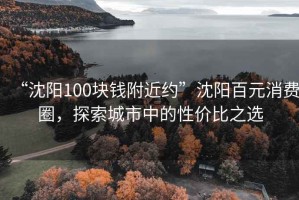 “沈陽(yáng)100塊錢(qián)附近約”沈陽(yáng)百元消費圈，探索城市中的性?xún)r(jià)比之選