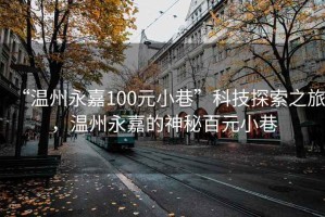 “溫州永嘉100元小巷”科技探索之旅，溫州永嘉的神秘百元小巷