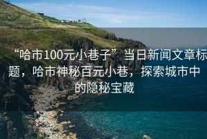 “哈市100元小巷子”當日新聞文章標題，哈市神秘百元小巷，探索城市中的隱秘寶藏
