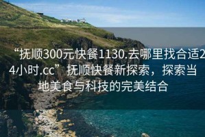 “撫順300元快餐1130.去哪里找合適24小時(shí).cc”撫順快餐新探索，探索當地美食與科技的完美結合