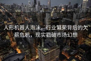 人形機器人泡沫，行業(yè)繁榮背后的欠薪危機，現實(shí)戳破市場(chǎng)幻想
