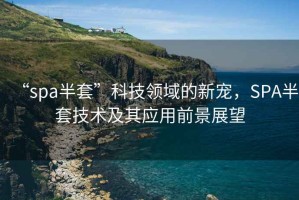 “spa半套”科技領(lǐng)域的新寵，SPA半套技術(shù)及其應用前景展望