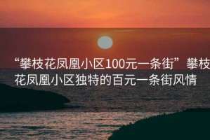 “攀枝花鳳凰小區100元一條街”攀枝花鳳凰小區獨特的百元一條街風(fēng)情