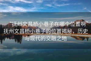 “撫州文昌橋小巷子在哪個(gè)位置啊”撫州文昌橋小巷子的位置揭秘，歷史與現代的交融之地