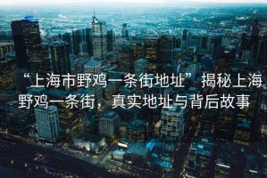 “上海市野雞一條街地址”揭秘上海野雞一條街，真實(shí)地址與背后故事