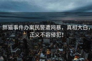胖貓事件辦案民警遭網(wǎng)暴，真相大白，正義不容侵犯！