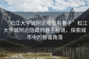 “松江大學(xué)城附近哪里有巷子”松江大學(xué)城附近隱藏的巷子秘境，探索城市中的靜謐角落