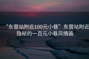 “東營(yíng)站附近100元小巷”東營(yíng)站附近隱秘的一百元小巷風(fēng)情畫(huà)