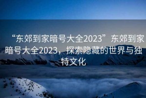 “東郊到家暗號大全2023”東郊到家暗號大全2023，探索隱藏的世界與獨特文化
