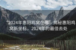 “2024年惠陽(yáng)雞窩在哪”揭秘惠陽(yáng)雞窩新坐標，2024年的最佳去處