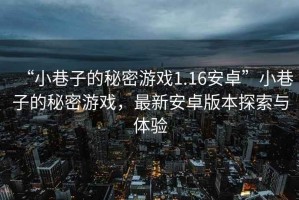 “小巷子的秘密游戲1.16安卓”小巷子的秘密游戲，最新安卓版本探索與體驗