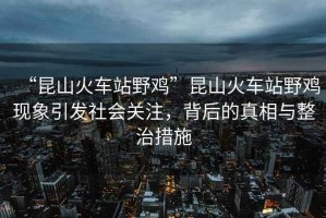 “昆山火車(chē)站野雞”昆山火車(chē)站野雞現象引發(fā)社會(huì )關(guān)注，背后的真相與整治措施