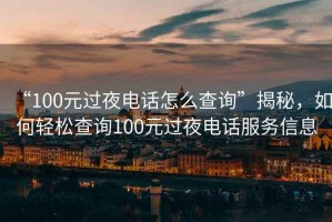 “100元過(guò)夜電話(huà)怎么查詢(xún)”揭秘，如何輕松查詢(xún)100元過(guò)夜電話(huà)服務(wù)信息