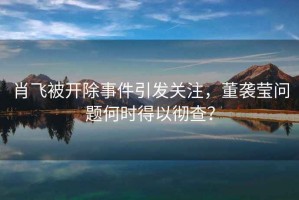 肖飛被開(kāi)除事件引發(fā)關(guān)注，董襲瑩問(wèn)題何時(shí)得以徹查？