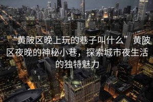 “黃陂區晚上玩的巷子叫什么”黃陂區夜晚的神秘小巷，探索城市夜生活的獨特魅力