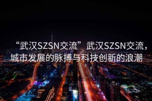 “武漢SZSN交流”武漢SZSN交流，城市發(fā)展的脈搏與科技創(chuàng  )新的浪潮
