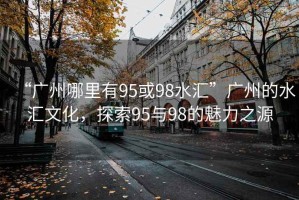 “廣州哪里有95或98水匯”廣州的水匯文化，探索95與98的魅力之源