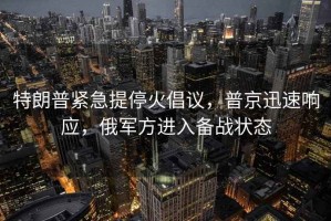 特朗普緊急提?；鸪h，普京迅速響應，俄軍方進(jìn)入備戰狀態(tài)