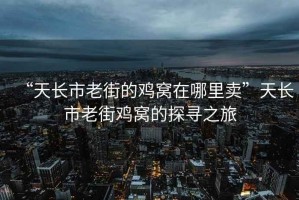 “天長(cháng)市老街的雞窩在哪里賣(mài)”天長(cháng)市老街雞窩的探尋之旅