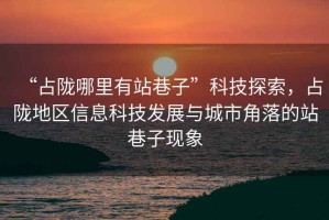 “占隴哪里有站巷子”科技探索，占隴地區信息科技發(fā)展與城市角落的站巷子現象