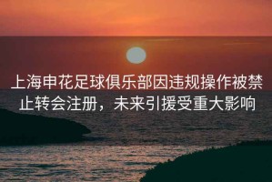 上海申花足球俱樂(lè )部因違規操作被禁止轉會(huì )注冊，未來(lái)引援受重大影響