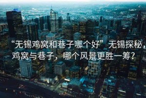 “無(wú)錫雞窩和巷子哪個(gè)好”無(wú)錫探秘，雞窩與巷子，哪個(gè)風(fēng)景更勝一籌？