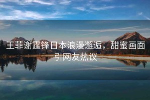 王菲謝霆鋒日本浪漫邂逅，甜蜜畫(huà)面引網(wǎng)友熱議