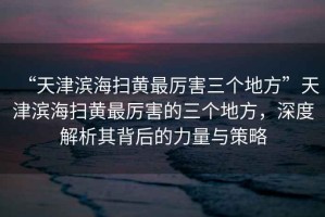 “天津濱海掃黃最厲害三個(gè)地方”天津濱海掃黃最厲害的三個(gè)地方，深度解析其背后的力量與策略