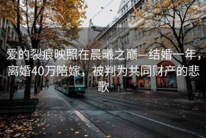 愛(ài)的裂痕映照在晨曦之巔—結婚一年，離婚40萬(wàn)陪嫁，被判為共同財產(chǎn)的悲歌