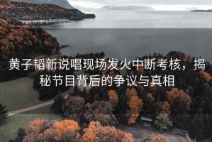 黃子韜新說(shuō)唱現場(chǎng)發(fā)火中斷考核，揭秘節目背后的爭議與真相