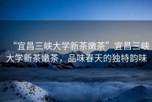 “宜昌三峽大學(xué)新茶嫩茶”宜昌三峽大學(xué)新茶嫩茶，品味春天的獨特韻味
