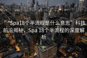 “Spa18個(gè)半流程是什么意思”科技前沿揭秘，Spa 18個(gè)半流程的深度解析