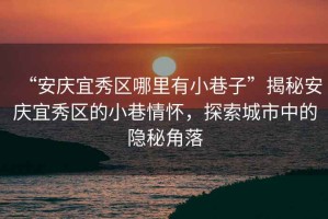 “安慶宜秀區哪里有小巷子”揭秘安慶宜秀區的小巷情懷，探索城市中的隱秘角落
