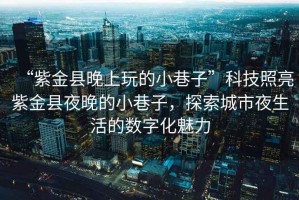“紫金縣晚上玩的小巷子”科技照亮紫金縣夜晚的小巷子，探索城市夜生活的數字化魅力