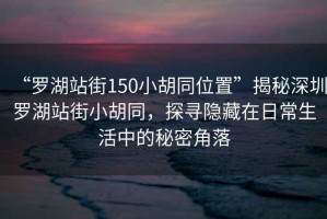 “羅湖站街150小胡同位置”揭秘深圳羅湖站街小胡同，探尋隱藏在日常生活中的秘密角落