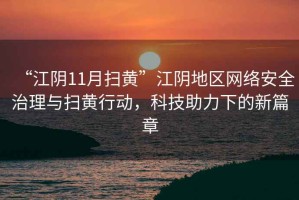 “江陰11月掃黃”江陰地區網(wǎng)絡(luò )安全治理與掃黃行動(dòng)，科技助力下的新篇章