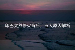 印巴突然?；鸨澈?，五大原因解析