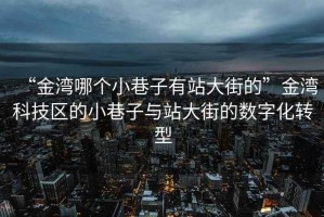 “金灣哪個(gè)小巷子有站大街的”金灣科技區的小巷子與站大街的數字化轉型