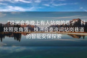 “株洲合泰晚上有人站崗的巷子”科技照亮角落，株洲合泰夜間站崗巷道的智能安保探索