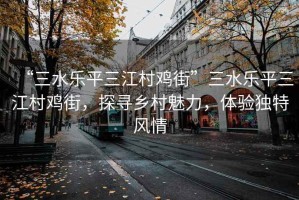 “三水樂(lè )平三江村雞街”三水樂(lè )平三江村雞街，探尋鄉村魅力，體驗獨特風(fēng)情