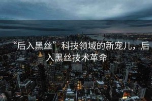 “后入黑絲”科技領(lǐng)域的新寵兒，后入黑絲技術(shù)革命